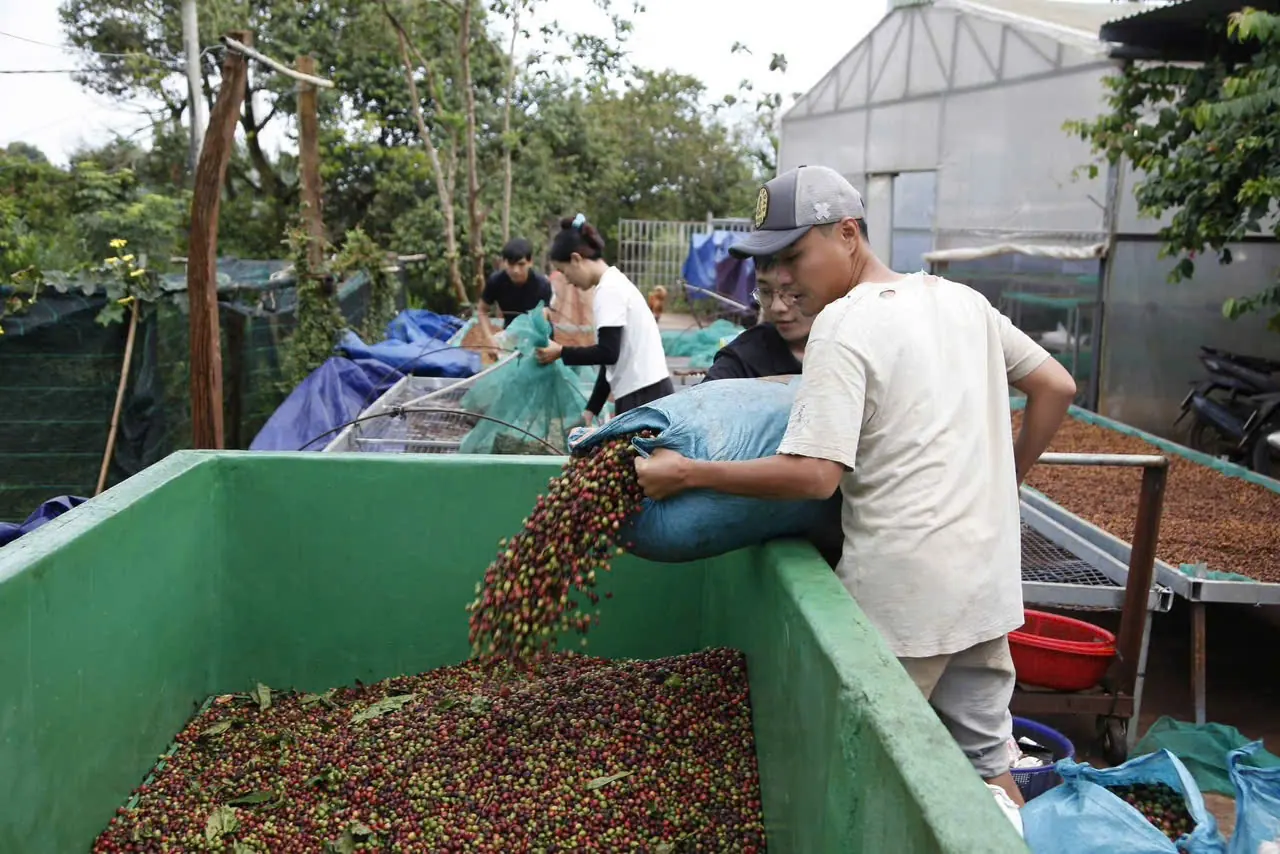 Sourcing — Partner farms